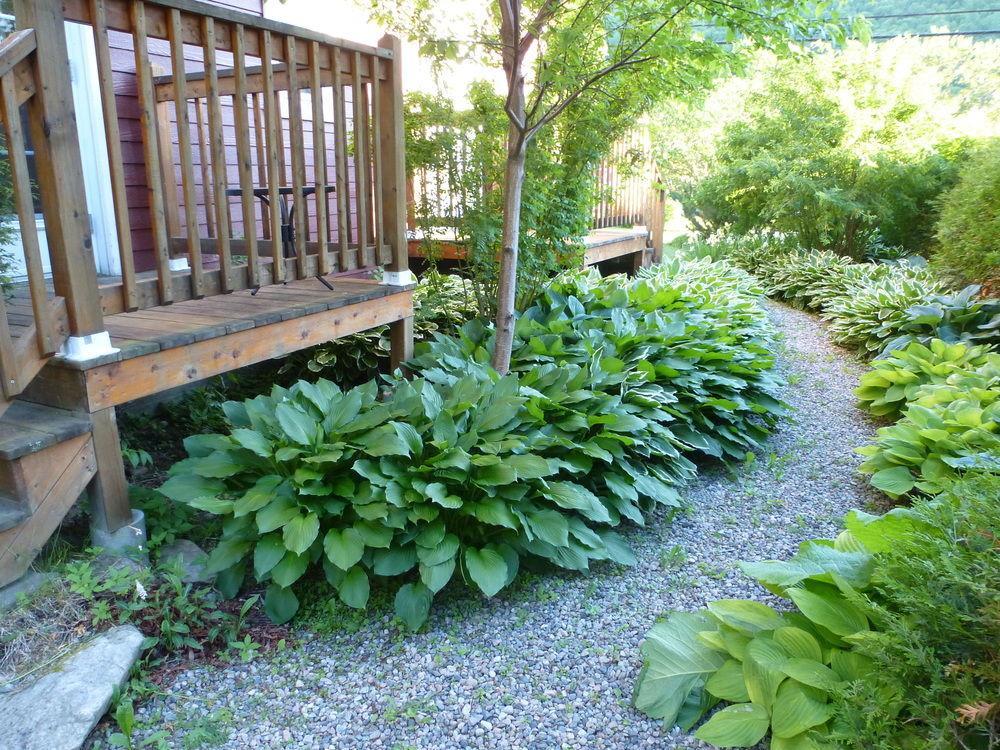 B&B Les Deux Pignons Petit-Saguenay Extérieur photo